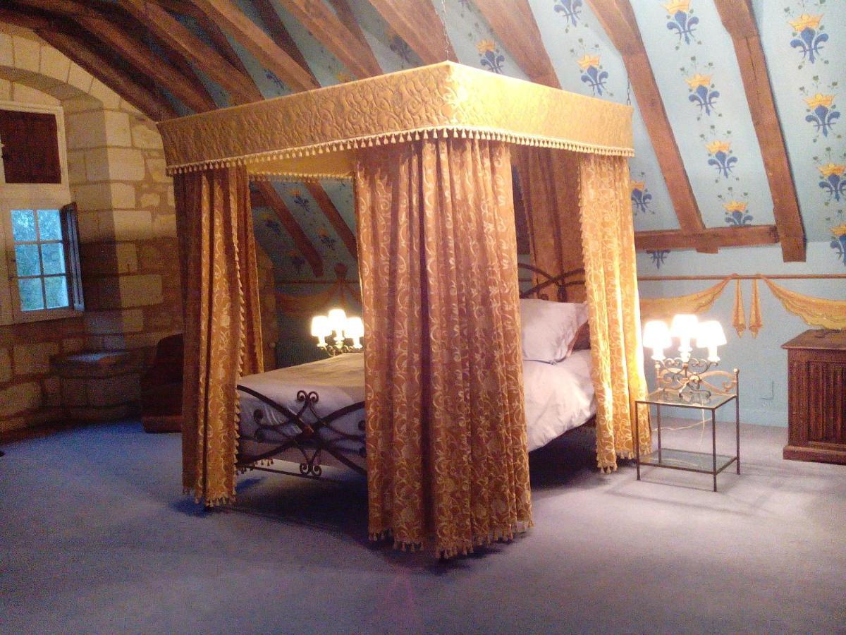 Chateau De Re Le Petit-Pressigny Rom bilde