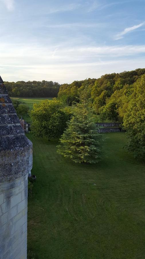 Chateau De Re Le Petit-Pressigny Eksteriør bilde