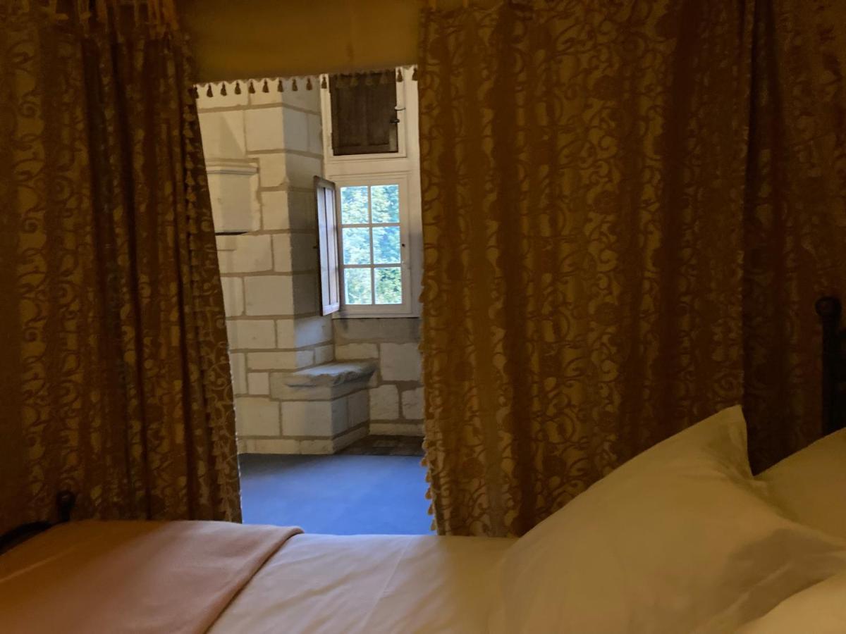 Chateau De Re Le Petit-Pressigny Eksteriør bilde